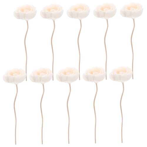 Healeved 10pcs Aromatherapy Rattan Oil Diffuser Sticks Fragrance Oil with Sticks Scent Sticks Scented Stick Diffuser Flower Stick Essential Oil Diffusers Natural Shape Scents Aroma Flowers