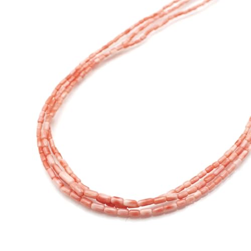 [CX lbNX 3A (̂MtgΉ) bL2]Rmm̉~^̖{X3{A˂ 60Z` F 