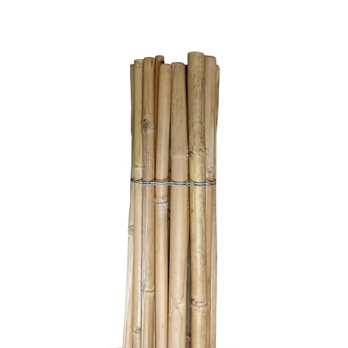 Pag Canne di bamboo ⌀ 20/22 mm Altezza 2400 mm | Tutori per Orto, Giardino e Arredo | Sostegno per Ortaggi e Piante rampicanti | 10 pezzi