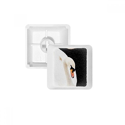 Touches de clavier cygne blanc en PBT pour un espace de travail zen sans marquage