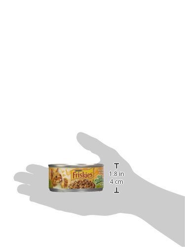 Amazon.com : Friskies Canned Tasty Treasures Cat Food, Chicken And Cheese  in gravy, 5.5 Oz : Pet Supplies