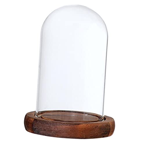 Baoblaze de Exibição de Cúpula de Recipiente de Plantas E Flores de, Castanho a