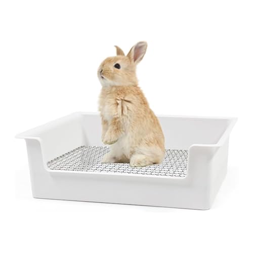 Amakunft  gC ^ LTCY ybgpgC XeX̂t  tFbg Ή ? |ȒP qI P[WpgC ()