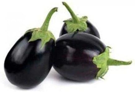 GARDENIFY INDIA BRINJAL CHU CHU VEGETABLE SEEDS (100 SEEDS/PACKET)