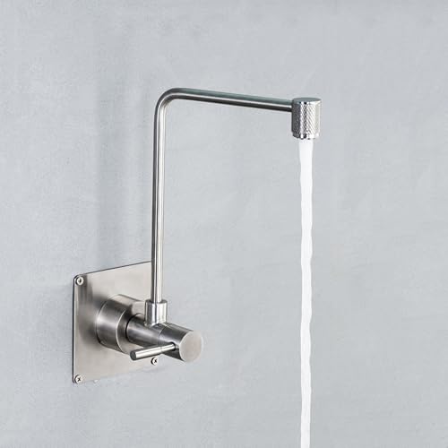 Wall Mount Filtered Water Faucet 360° Rotating Cold Water Faucet for Kitchen Sink Stainless Steel,Brushed