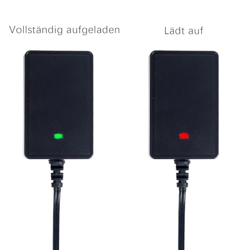 6V Ladegerät für Kinder Elektrofahrzeuge, 6 Volt Batterieladegerät Kompatibel mit Kid Trax Disney Frozen Mickey Minnie Mouse, Audi R8, Moto ATV und Mehr Spielzeugautos - Quadratischer Stecker