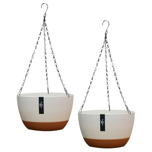 best hanging planters
