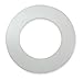 Gasket, Ring, 4 in, Virgin PTFE, White