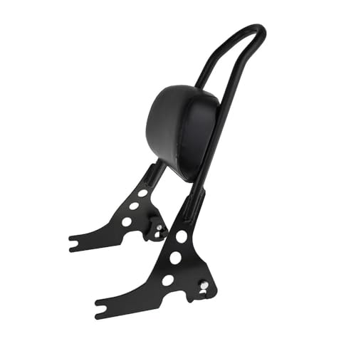 Coussin Dossier Passager et Porte-Bagages Moto pour Sportster XL 1200 883 48 : Fini le Mal de Dos
