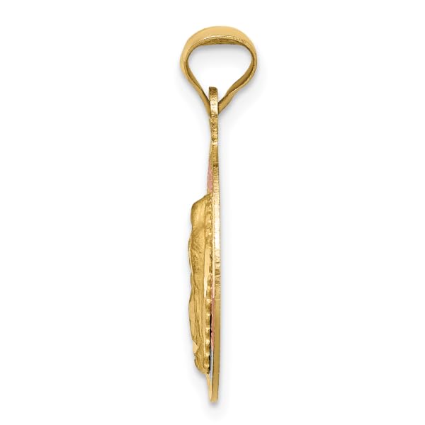 IceCarats 14K Solid Yellow Gold Our Lady of Guadalupe Virgin Mary Circle Round Necklace Virgencita Maria Rosa Pendant Catholic Christian Holy Mother Medallion Charm4