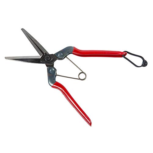CHIKAMASA 8250010 schaar T 702 210 mm - Afbeelding 5