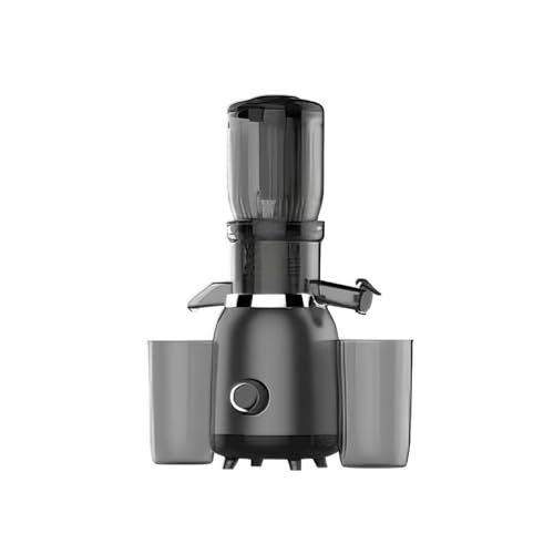 Image of MEGAWISE SJ250I Slow Masticating Juicer, Cold Press Juicer Machine, Quiet & High Juice Yield, Nutrient & Vitamin Lock, Easy to Clean, Ideal for Leafy Greens, Wheatgrass, Fruits and Vegetables