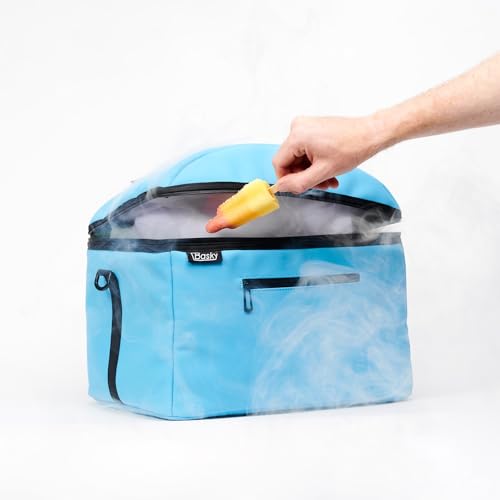 Basky Sac Isotherme | Sac Réfrigérant de 42L pour Paniers de Vélo (électrique) | Glacière Polyvalente Isolée sur Mesure pour Pique-Niques | 40 x 33 x 32...