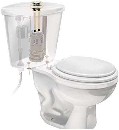 Fluidmaster 800P-001 Valve Replacement Dual Flush Valev Buttons, Chrome