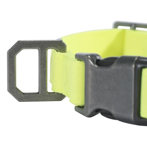 Collier chien Carhartt nylon vert citron M pour balade - 5