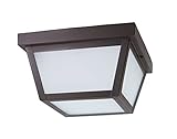 CORAMDEO 9.25” Square Ceiling Light, Porch Light, Entry, Outdoor Hallway, Damp Location, Built in LE