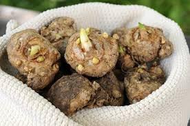 Image of Lilium bulbs double, 100% germination (Pack of 2)