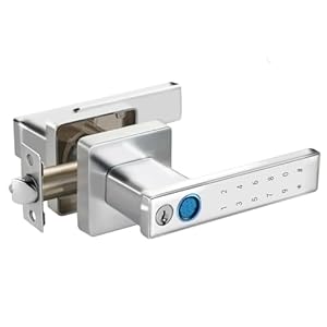 Fingerprint Door Lock, Keypad Door Knob with Handle, Sliver Smart Door knob with Passcode, Keyless Entry Door Lock for Bedrooms, Homes, Apartments, Hotels, Offices