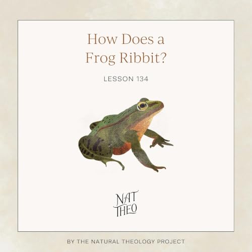How Does a Frog Ribbit? Lesson 134