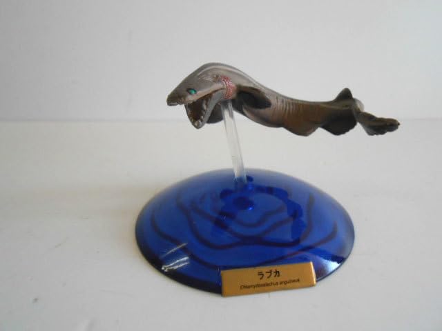 ♯Jxi01LT深海の巨大生物NHKスペシャル謎の海底サメ王国人気3種 Amazon | ♯Jxi01LT深海の巨大生物NHKスペシャル謎の海底サメ王国人気3