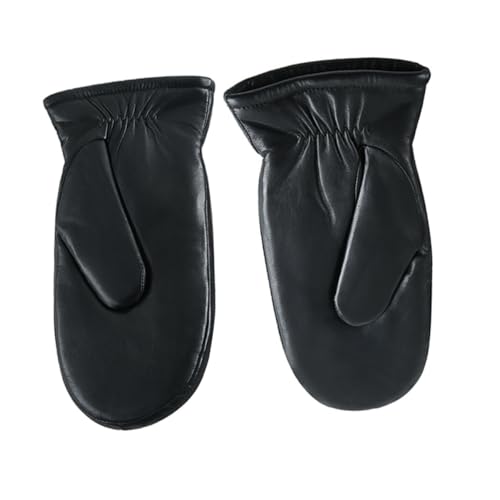 [Healvian] vlpg r?n背U[O[u ljp wȂfUC AEghA~pۉ~