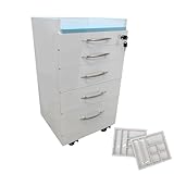 Banfluxion Professional Dental Storage Cabinet 4 Silent Slide Drawers Mobile Cabinet with 2 Adjustable Dividers Stainless Steel Lockable Medical Cart on Brake Wheels for Clinics/Hospitals/Home Office
