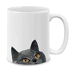 Blue Gray British Shorthair Cat