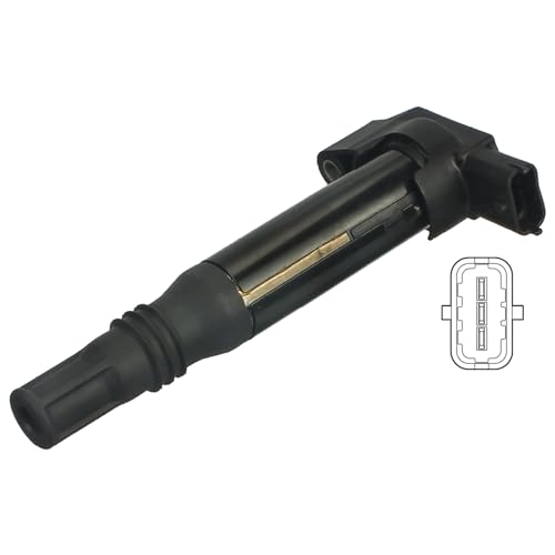 Delphi Technologies GN10583-12B1 Bobine D'Allumage
