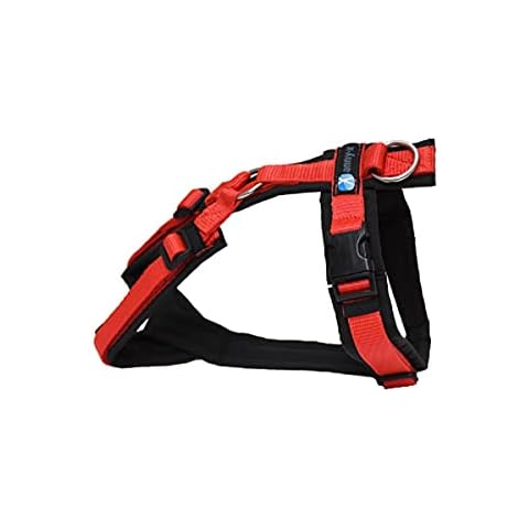 anny-x Brustgeschirr Fun schwarz rot - Gr. L Cover