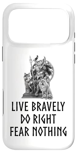 �k���_�b-�k���_�I�[�f�B��-Fear Nothing - ���� �X�}�z�P�[�X iPhone 17 Pro Max �p