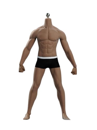 Mannequin homme 1/6 AMITD corps robuste contre usure joints