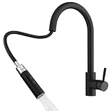 Rainsworth Schwarz Wasserhahn K&uuml;che mit Brause Ausziehbar - Hochdruck K&uuml;chenarmatur mit Zwei Wasserstrahlarten, Sp&uuml;ltischarmatur 360&deg; Drehung, Mischbatterie K&uuml;che aus Edelstahl Einfache Installation