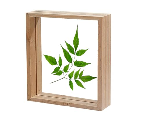 Image of Desi Rang Wooden Frame for wall decor, table top, any plant leaf decoration, picture, photo, DIY, Gift item,home office desk (Square)17.7L x 17.8W Centimeters