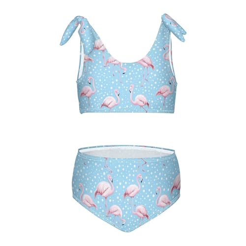 Wusikd Flamingo Cute Girls Swimsuits Two Piece Cartoon Blue Swimwear Bikini Set for for Girls Size 3T