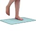 Marbrasse Bath Mat, Absorbent Diatomaceous Earth, Japanese Design, Antibacterial Deodorant Nonslip Bathroom Floor Mats (Mint)