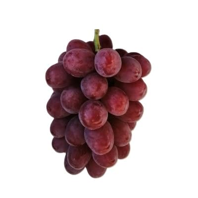 (きよとうファーム)(お試し便) 紫苑(しえん) 1房500g〜(岡山県産)