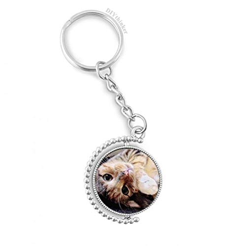 Porte-clés rotatif Stripes Kitty Cat relax animal mignon multicolore