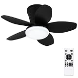 Small Ceiling Fan with Lights, 25inch 5 Blades Flush Mount with Remote
