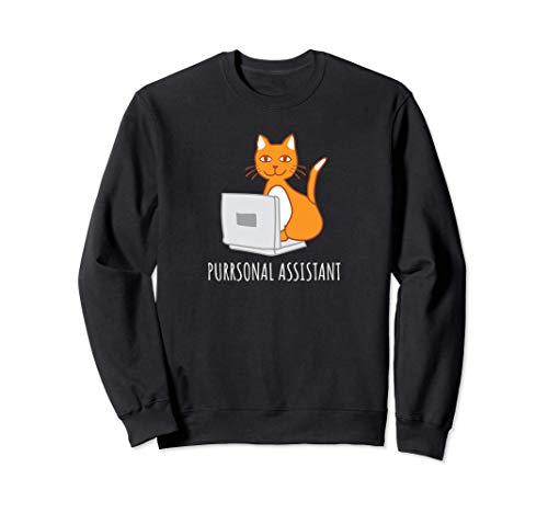 El gato en el ordenador portátil Sudadera
