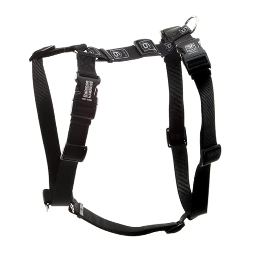 Blue-9 Buckle-Neck Balance Harness