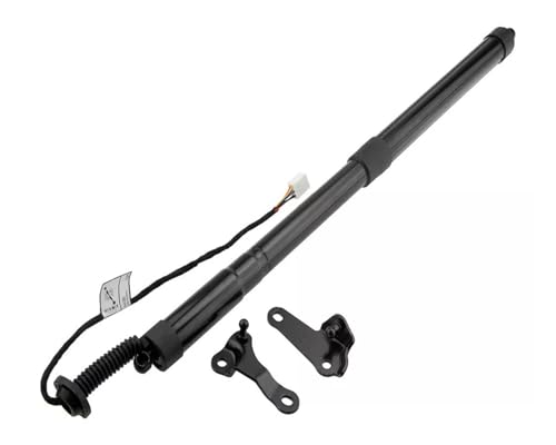 パワーハッチリフトサポート と互換性がある レクサス NX 200T 300H 2014 2015 2016 電動テールゲート ガススプリングストラット 6892079016 6891079016 対応(Right)