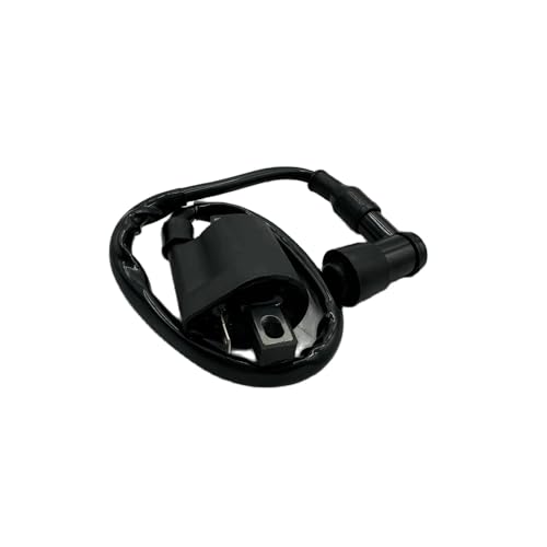 Bobina de encendido de moto para los modelos PY80 y PW80 4