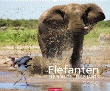 Weingarten-Kalender Elefanten 2009