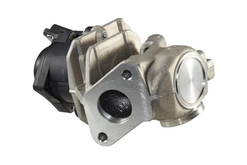 Tipo funzionamento: elettrico HELLA 6NU 010 171-111 Valvola ricircolo gas scarico-EGR, 12V, elettrico, con guarnizione, con morsetto