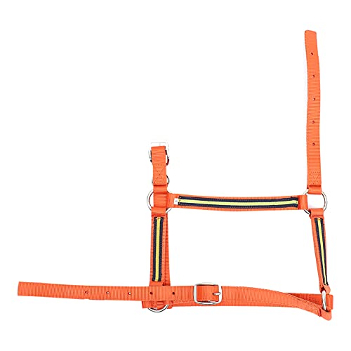 Headstalls Cavalo Cavalo Rédeas Arnês Ajustável Padronizada Cavalo Halter Substituição para Passeios