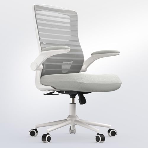 QLTPLUS Office Chair for Long Hours & Lower Back Pain Relief...