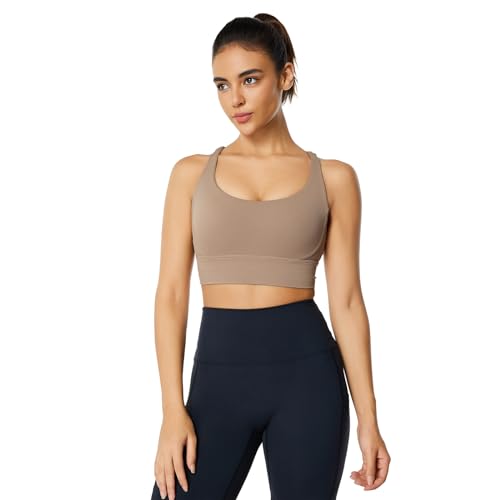 ZNV[ȃNXNXobN̏pnCCpNgpbhX|[cu - OC[NAEgK^NgbvuB, R[q[, Medium