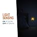 Minions: The Rise of Gru LED Night Light, Plug-in, Dusk to Dawn, UL-Listed, Yellow Glow, Despicable Me, Bob, Ideal for Kids Bedroom, Nursery, Bathroom, 43742