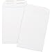 Business Source 42117 Catalog Envelopes, Plain, 24Lb., 6-1/2-Inch X9-1/2-Inch, 500/Pk, We