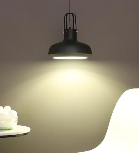 Image of MONI Lights Celling Hanging Light for Room, Table, Holl, Garden House Decoration Pendants Light of Pattern Aluminium Black L-062BLK(Pack of 2)
